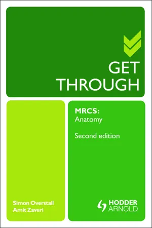 Get Through MRCS: Anatomy 2E