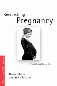 Sanctioning Pregnancy_cover