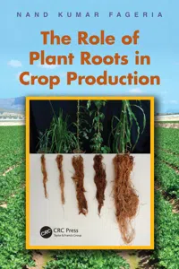 The Role of Plant Roots in Crop Production_cover