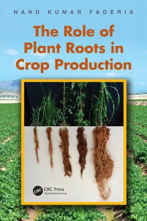 The Role of Plant Roots in Crop Production