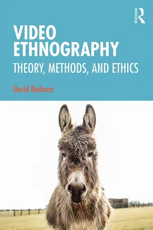 Video Ethnography