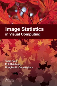 Image Statistics in Visual Computing_cover
