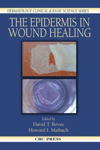 The Epidermis in Wound Healing_cover