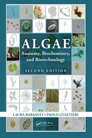 Algae