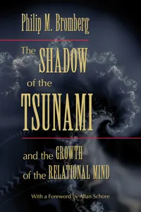 The Shadow of the Tsunami_cover