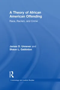 A Theory of African American Offending_cover