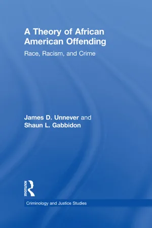 A Theory of African American Offending