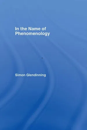 In the Name of Phenomenology