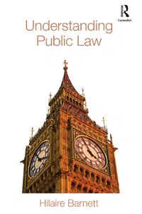 Understanding Public Law_cover