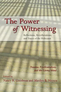 The Power of Witnessing_cover