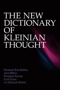 The New Dictionary of Kleinian Thought_cover