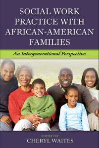 Social Work Practice with African American Families_cover
