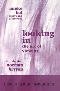 Looking In_cover