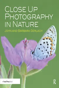 Close Up Photography in Nature_cover