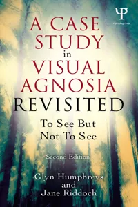 A Case Study in Visual Agnosia Revisited_cover