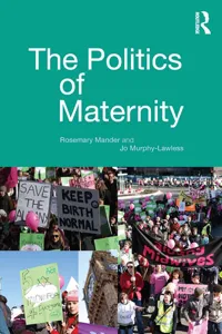 The Politics of Maternity_cover