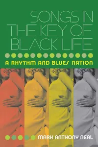 Songs in the Key of Black Life_cover