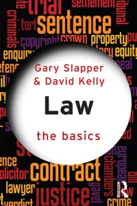Law: The Basics_cover