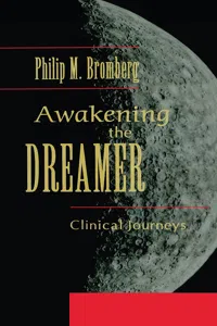 Awakening the Dreamer_cover