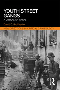 Youth Street Gangs_cover