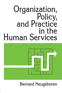 Organization, Policy, and Practice in the Human Services_cover