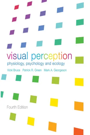 Visual Perception