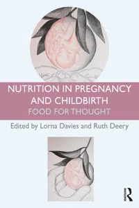 Nutrition in Pregnancy and Childbirth_cover