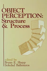 Object Perception_cover
