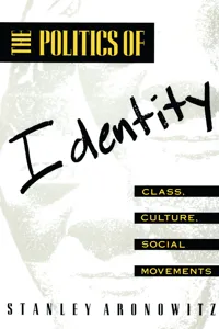 The Politics of Identity_cover