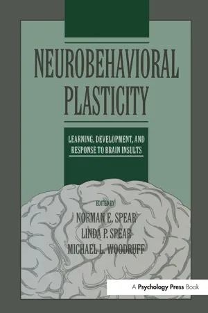 Neurobehavioral Plasticity