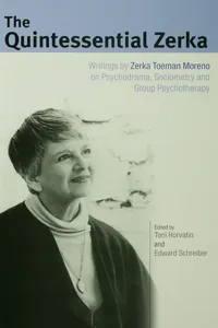 The Quintessential Zerka_cover