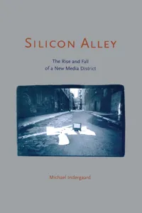 Silicon Alley_cover