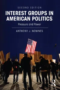 Interest Groups in American Politics_cover