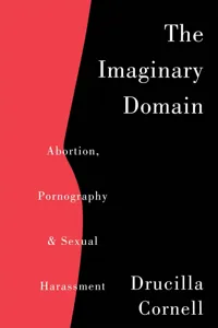 The Imaginary Domain_cover