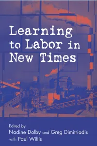 Learning to Labor in New Times_cover