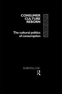 Consumer Culture Reborn_cover