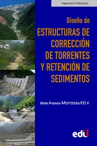 Diseño de estructuras de corrección de torrentes y retención de sedimentos_cover