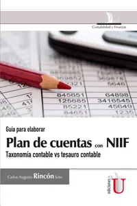 Guía para elaborar Plan de cuentas con NIIF, taxonomía contable vs tesauro contable_cover