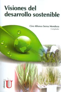 Visiones del desarrollo sostenible_cover