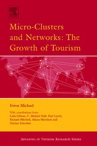 Micro-Clusters and Networks_cover