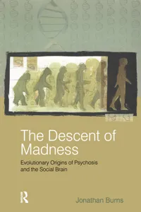 The Descent of Madness_cover