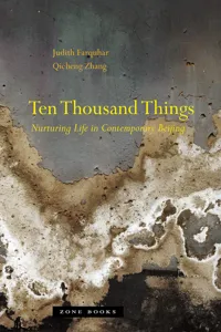 Ten Thousand Things_cover