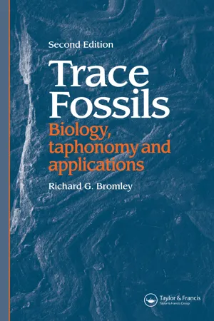 Trace Fossils