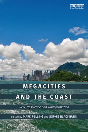 Megacities and the Coast