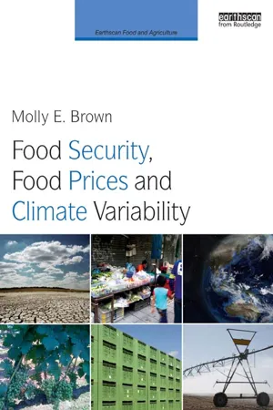 Food Security, Food Prices and Climate Variability