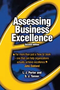 Assessing Business Excellence_cover