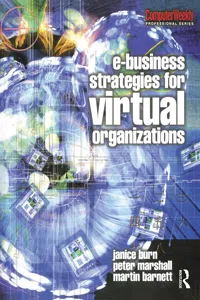 e-Business Strategies for Virtual Organizations_cover