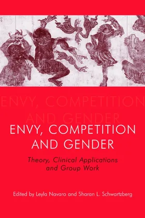 Envy, Competition and Gender