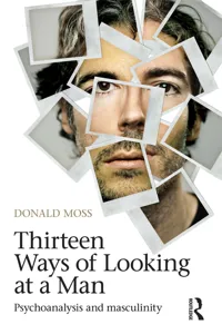 Thirteen Ways of Looking at a Man_cover