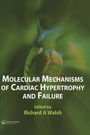 Molecular Mechanisms of Cardiac Hypertrophy and Failure